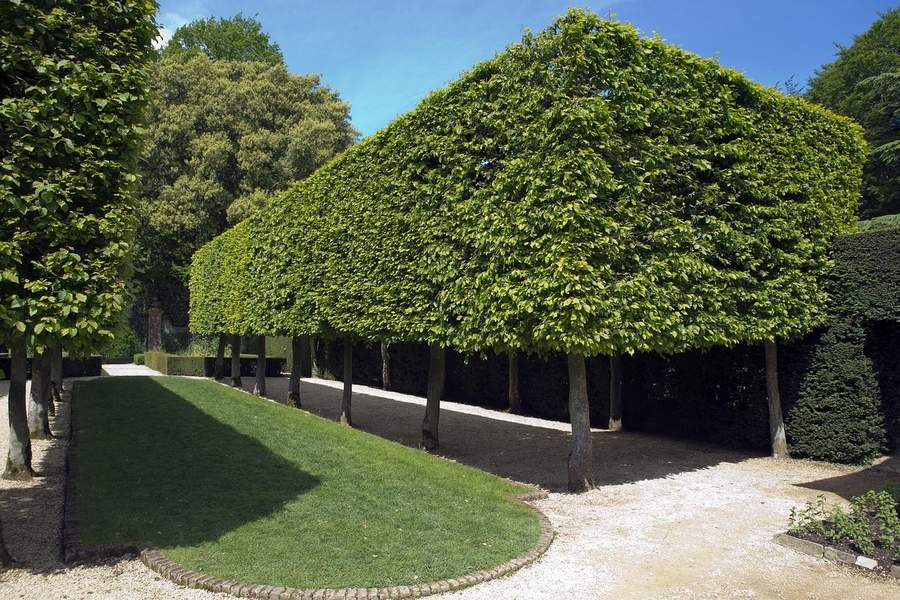 5 Destinații secrete din Anglia: Comori medievale departe de turiști 5 Hidcote Manor Garden