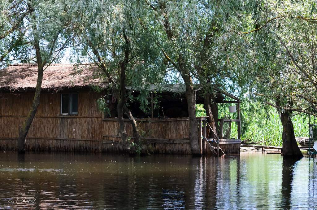 Danube Delta. Delta Dunarii