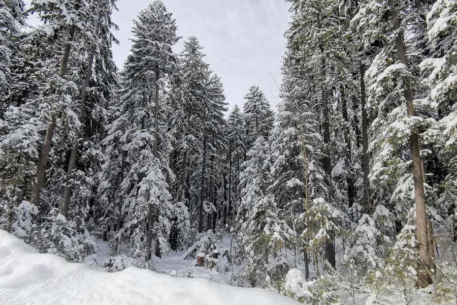Borovets Bulgaria – stațiune de schi accesibilă