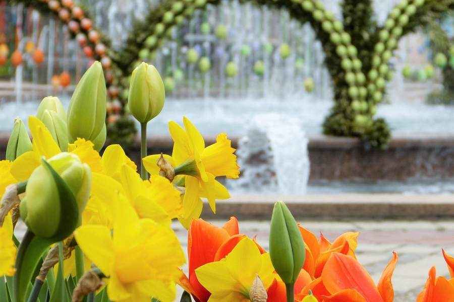 Mărțișor tradițional alături de flori primare simbolizând continuitatea sărbătorilor din martie 