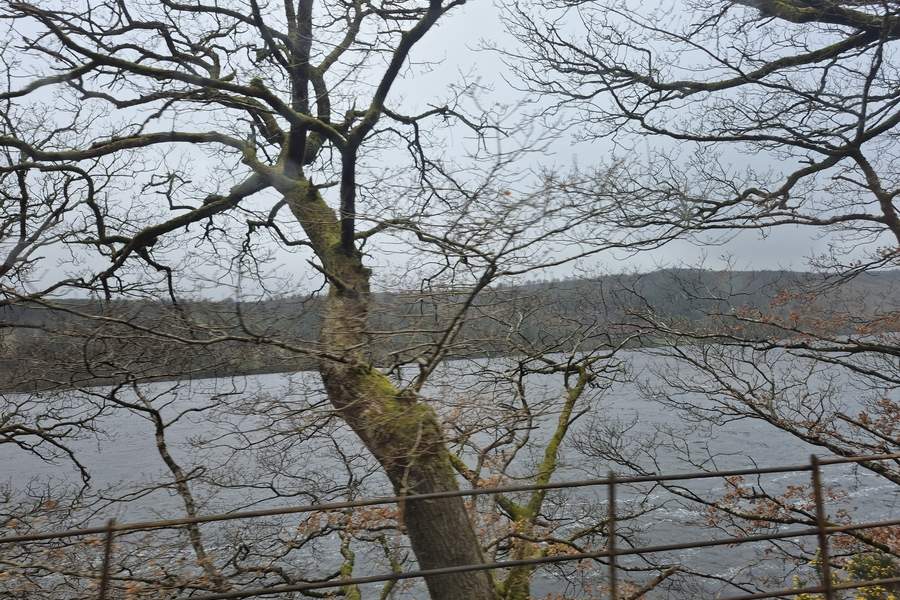 Lacul Vyrnwy 2