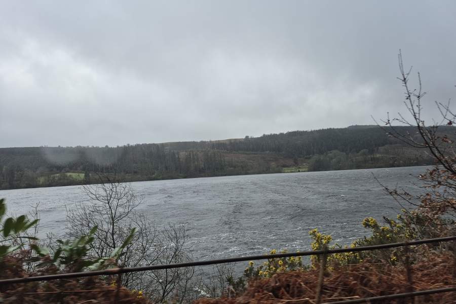 Lacul Vyrnwy 3