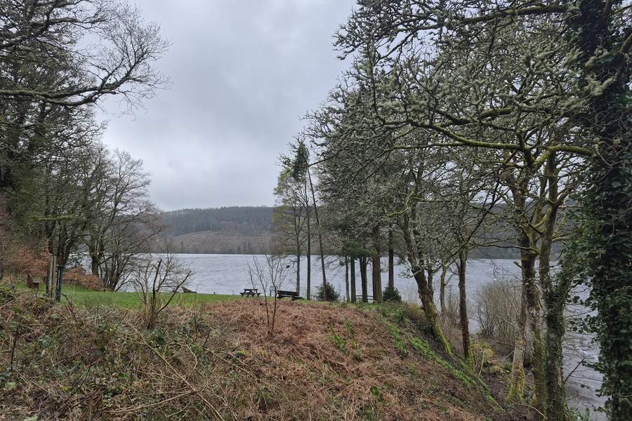 Lacul Vyrnwy 5