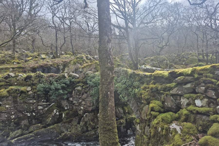 cascada din apropierea lacului Llyn Cwm Bychan — un loc în care natura pare să uite că există