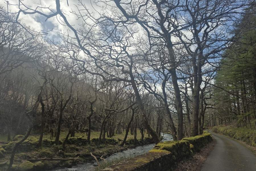 cascada din apropierea lacului Llyn Cwm Bychan — un loc în care natura pare să uite că există