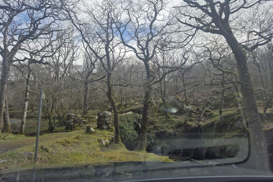 cascada din apropierea lacului Llyn Cwm Bychan — un loc în care natura pare să uite că există