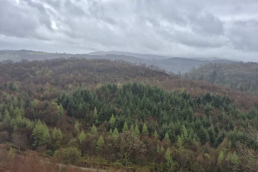 trenul Mountain Spirit (Ysbryd y Mynydd în galeză) la Porthmadog